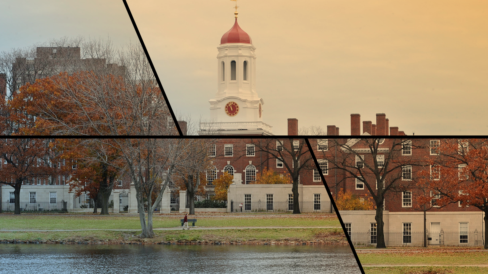 The campus of Harvard University in Cambridge, Mass. (AP Photo/Lisa Poole)