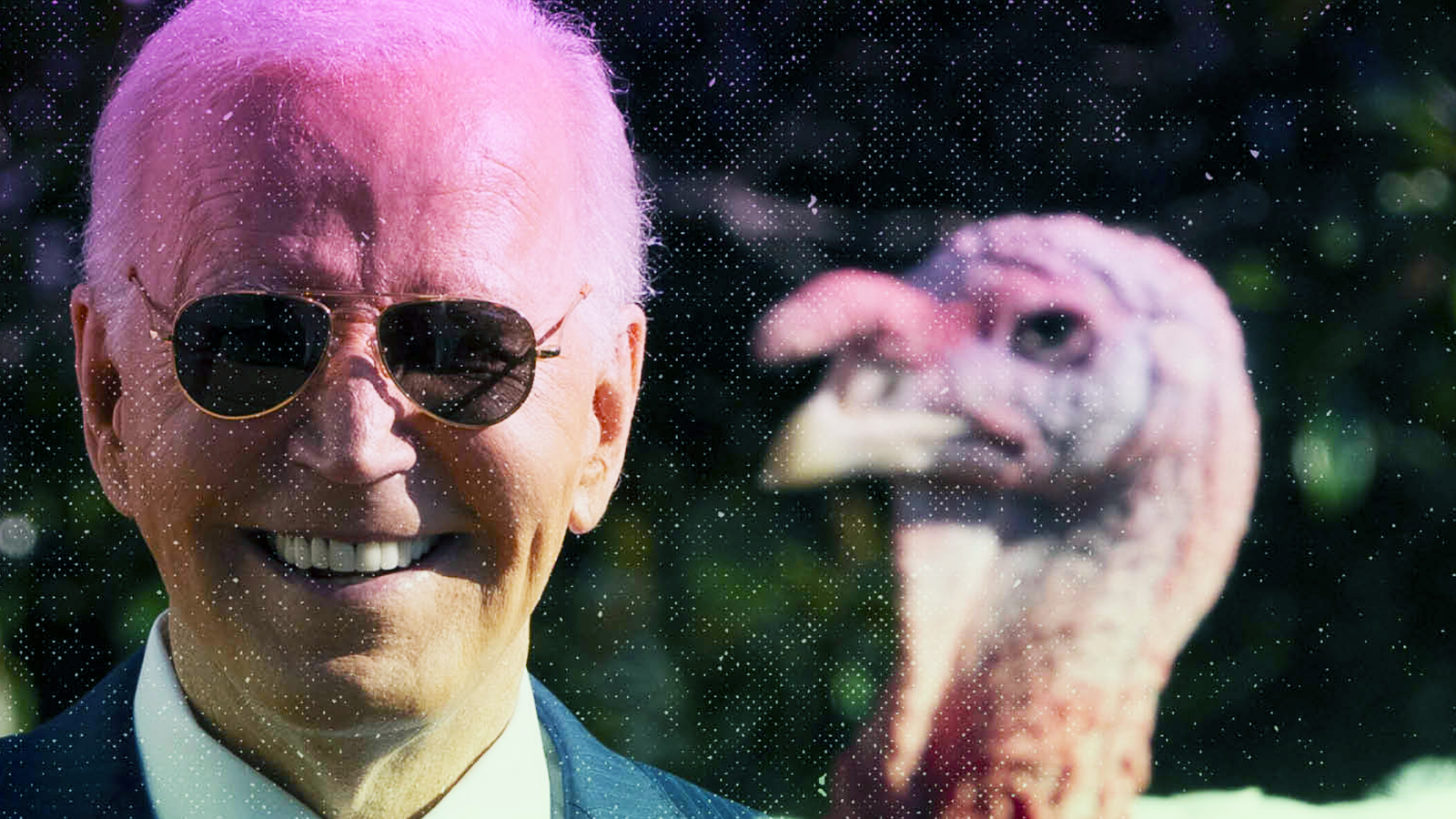 President Joe Biden stands with one of the national Thanksgiving turkeys  during a pardoning ceremony at the White House