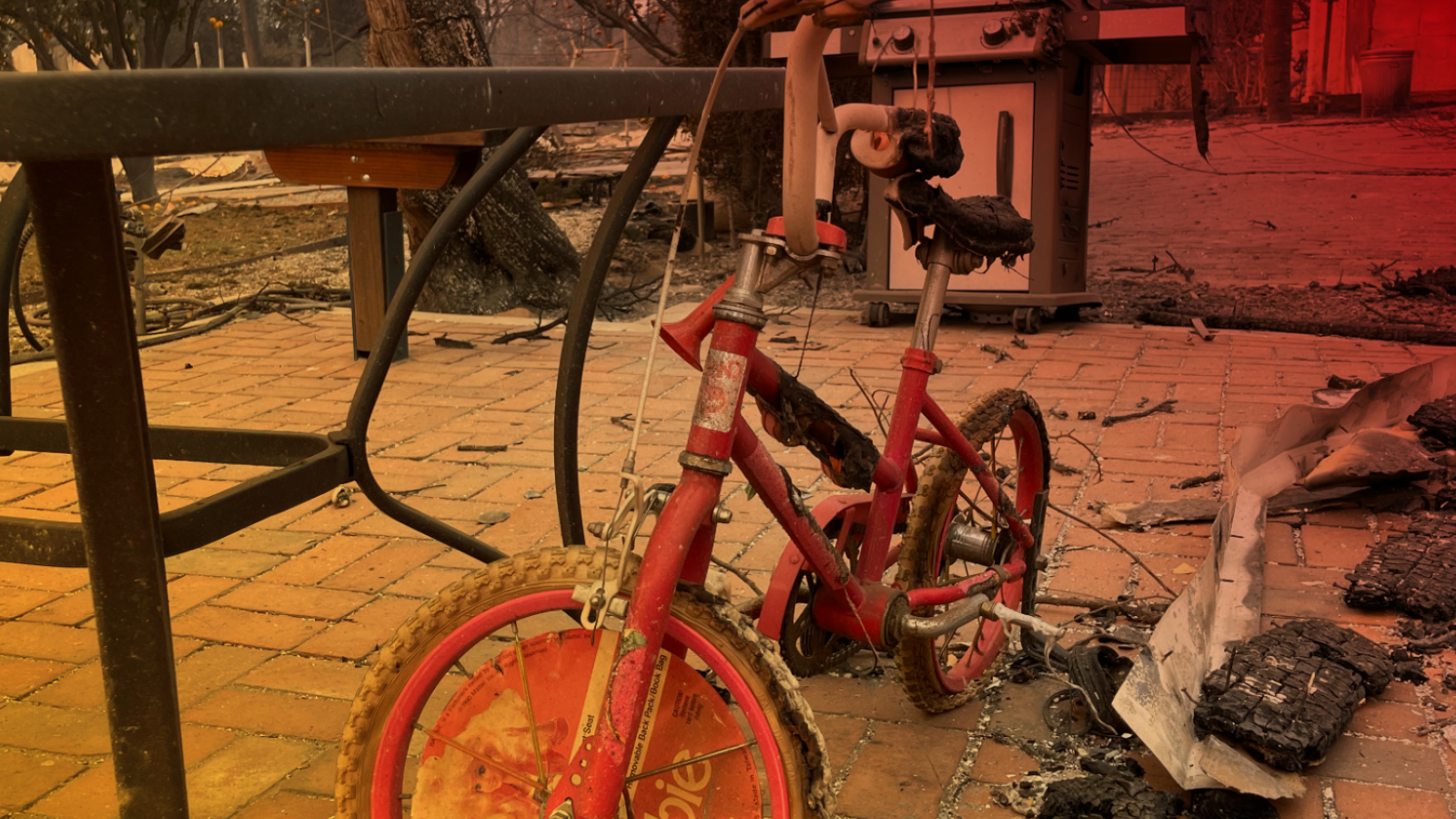 The remains of Jess Miller’s childhood bicycle, which her daughter was learning to ride.